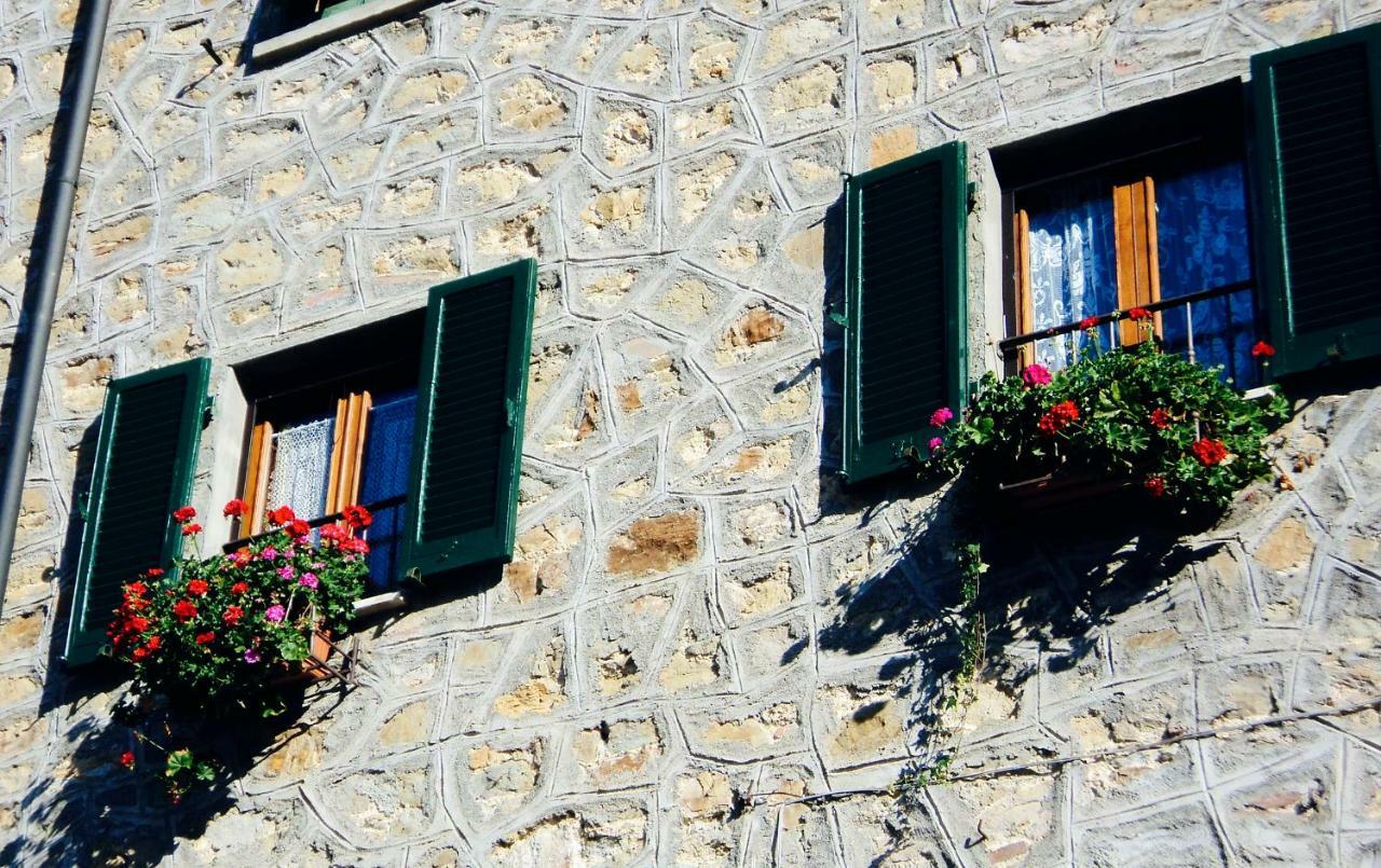 Andante Appartamenti Castelnuovo di Val di Cecina Luaran gambar