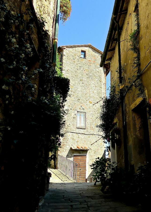 Andante Appartamenti Castelnuovo di Val di Cecina Luaran gambar